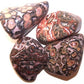Large Tumble Stones - Leopard Skin