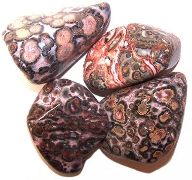 Large Tumble Stones - Leopard Skin